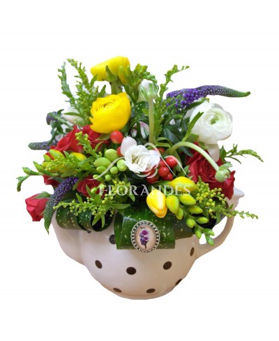 Ceainic veronica si frezii