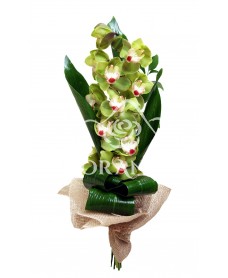 Buchet de orhidee cymbidium verde