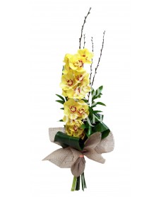Buchet orhidee cymbidium galbena