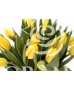Buchet 25 lalele galbene