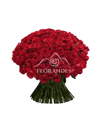 Buchet 101 trandafiri rosii Buchet 101 trandafiri rosii