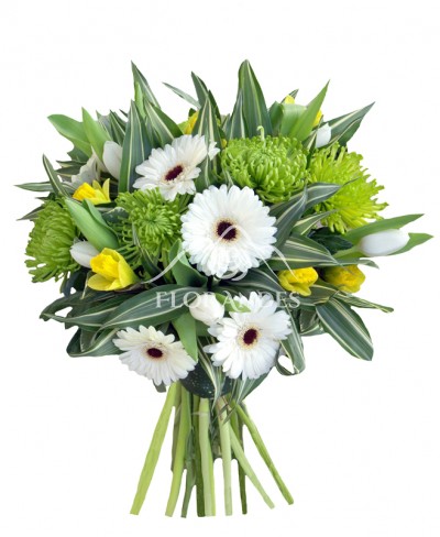 Buchet minigerbera alba si crizantema