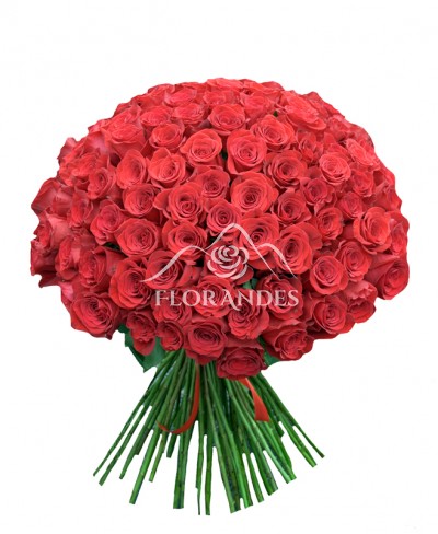 Buchet oferta 101 trandafiri rosii