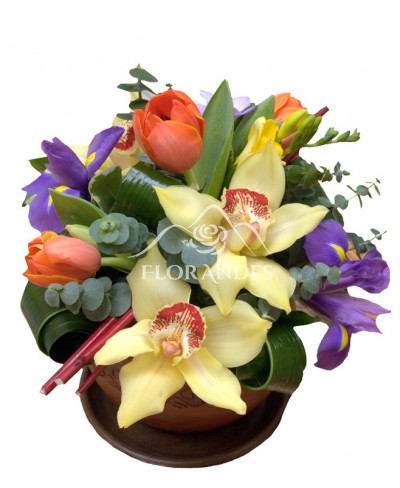 Aranjament floral lalele si irisi