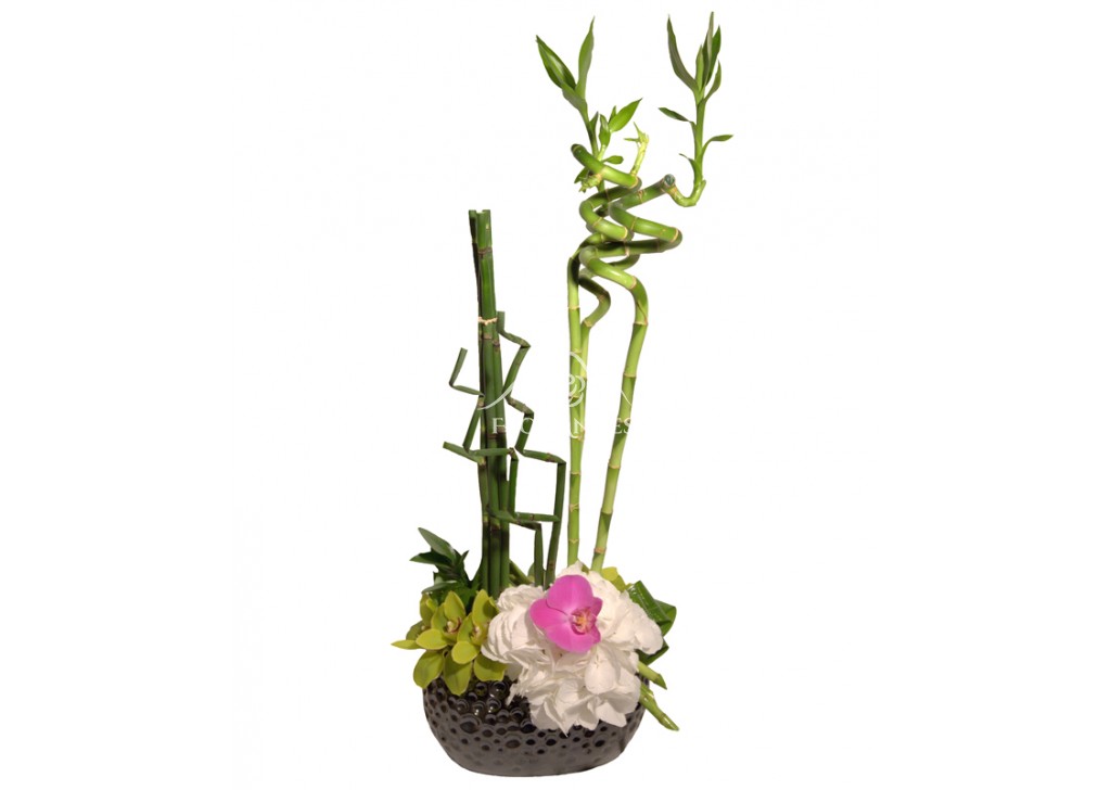 Aranjament floral bambus si hortensie