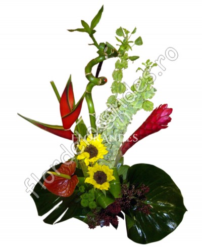 Aranjament floral exotic bambus