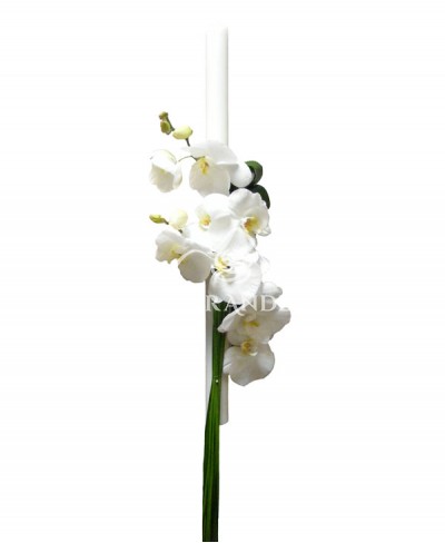 Lumanari de nunta din orhidee phalaenopsis