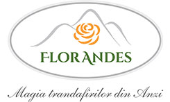 Florarie online Bucuresti – Florandes.ro